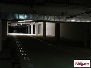 地下室最新爆料,揭秘隐藏在黑暗中的秘密世界